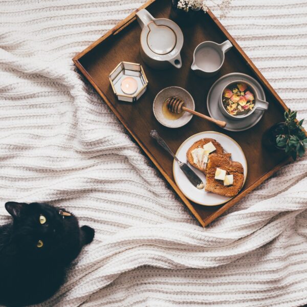 A cat and a breakfast tray on a bed with a tealight, tea, toast, honey and a plant next