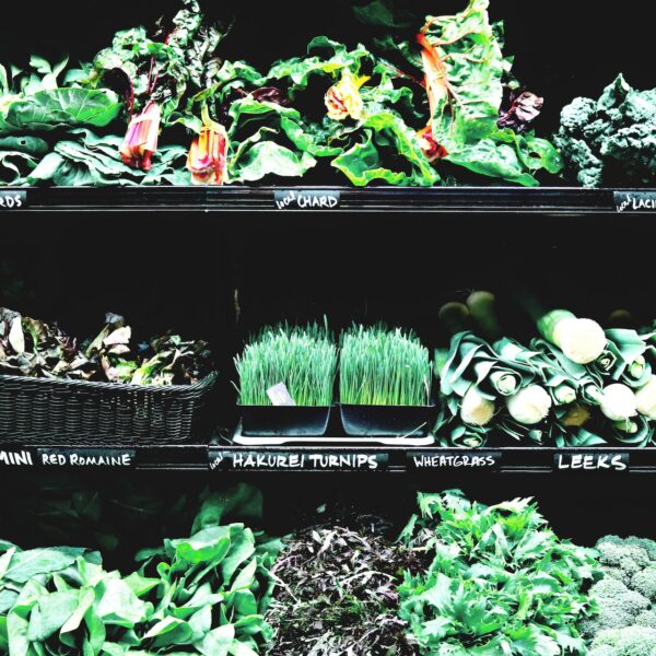 A variety of herbs and vegetables on supermarket shelves